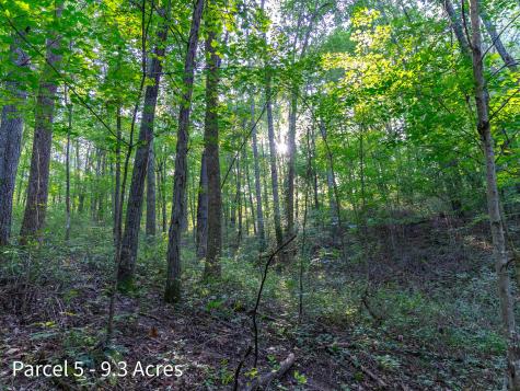 2886 Raysville Road Wellston OH 45692