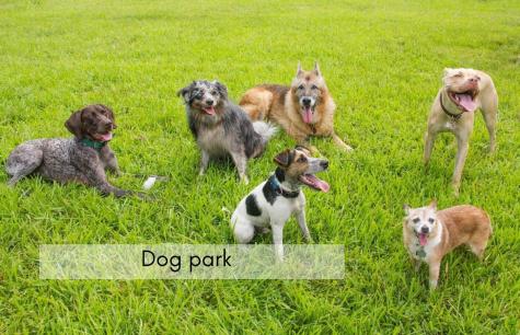 624 Grand Ridge Drive Howard OH 43028