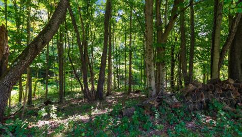 3976 Millersburg Road Gambier OH 43022