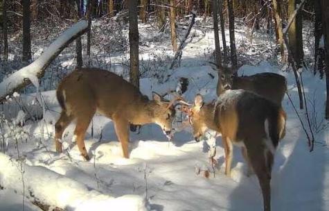 8680 Dunham Road Mount Vernon OH 43050