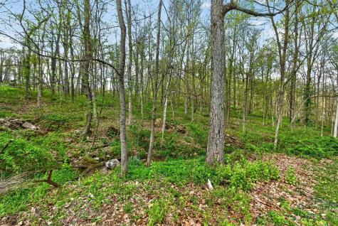 15331 Wooster Road Mount Vernon OH 43050