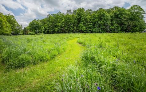 11936 Yankee Street Fredericktown OH 43019