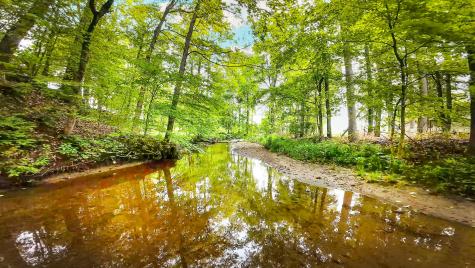 11936 Yankee Street Fredericktown OH 43019