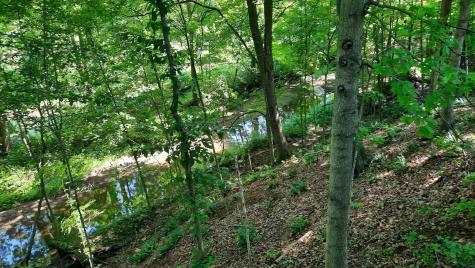 11936 Yankee Street Fredericktown OH 43019