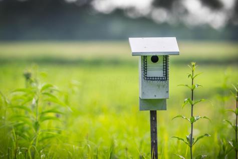 11936 Yankee Street Fredericktown OH 43019