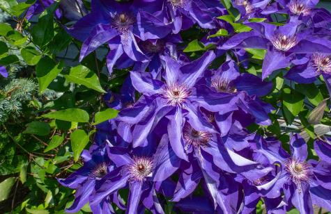 11936 Yankee Street Fredericktown OH 43019