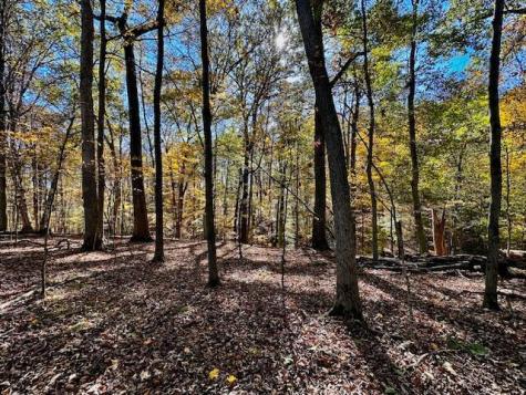 577 Floral Valley Drive W Howard OH 43028