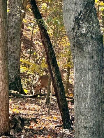 577 Floral Valley Drive W Howard OH 43028