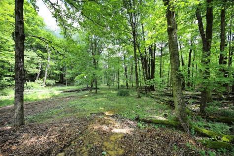 783 Crestrose Drive Howard OH 43028