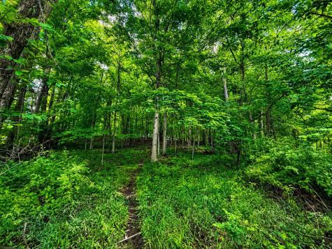 8088 County Road 30 Galion OH 44833