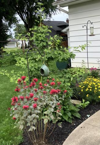 216 Delano Street Mount Vernon OH 43050