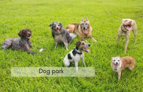 332 Baldwin Drive Howard OH 43028