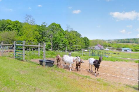 23783 Caves Road Gambier OH 43022