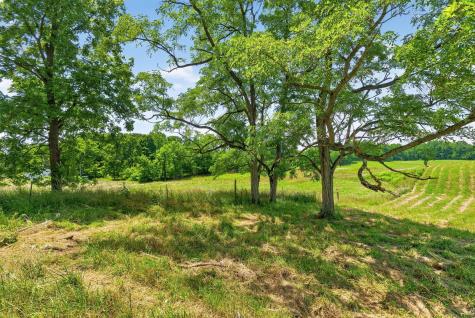 5650 Ohio 314 Fredericktown OH 43019