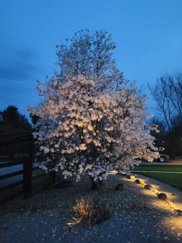 450 State Route 314 Centerburg OH 43011