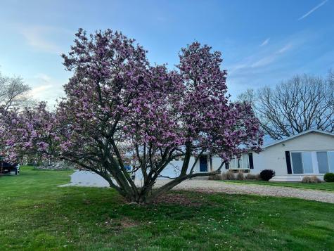75 Appleview Court Howard OH 43028