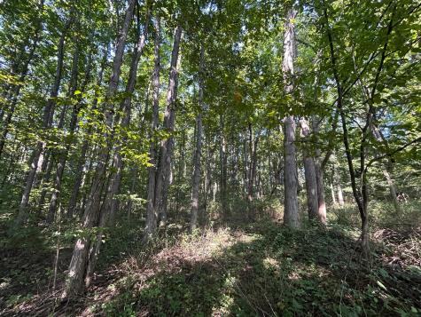 6642 Bennington Chapel Road Centerburg OH 43011