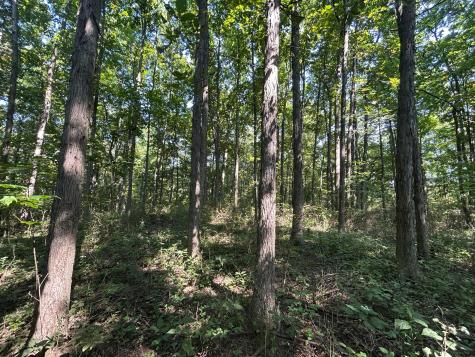 6642 Bennington Chapel Road Centerburg OH 43011