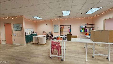 822 Kumho Drive Fairlawn OH 44333