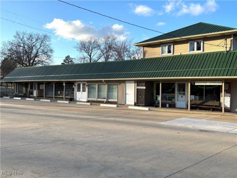 516 E Park Avenue Columbiana OH 44408