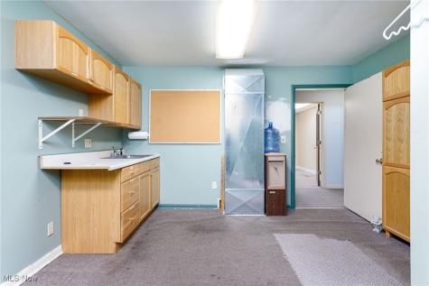 113 Harris Street Lodi OH 44254