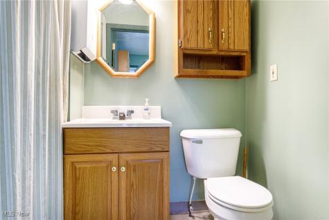 113 Harris Street Lodi OH 44254