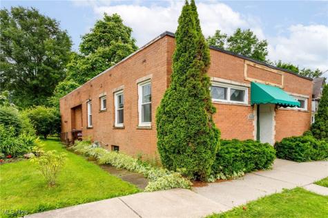 113 Harris Street Lodi OH 44254