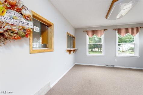 113 Harris Street Lodi OH 44254