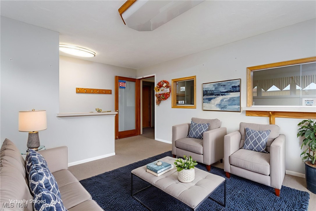 113 Harris Street Lodi OH 44254