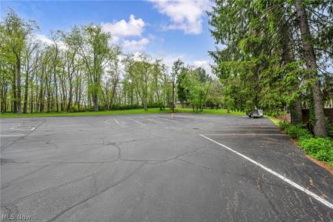 12930 Chippewa Road Brecksville OH 44141