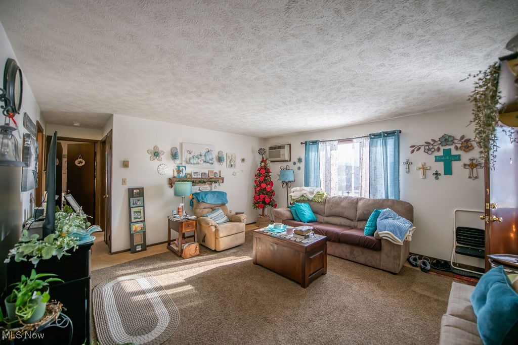 2045 Glamorgan Street Alliance OH 44601