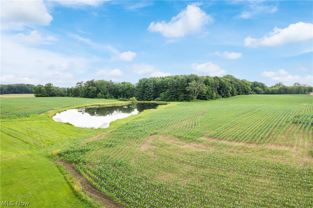 22840 Buck Road Alliance OH 44601
