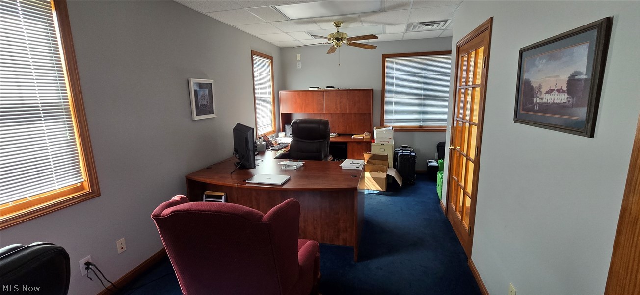 1004 Vivian Drive Grafton OH 44044