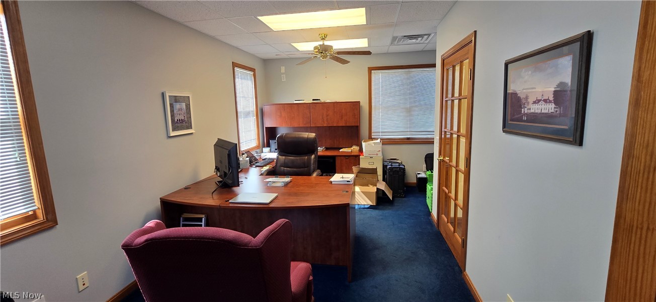 1004 Vivian Drive Grafton OH 44044