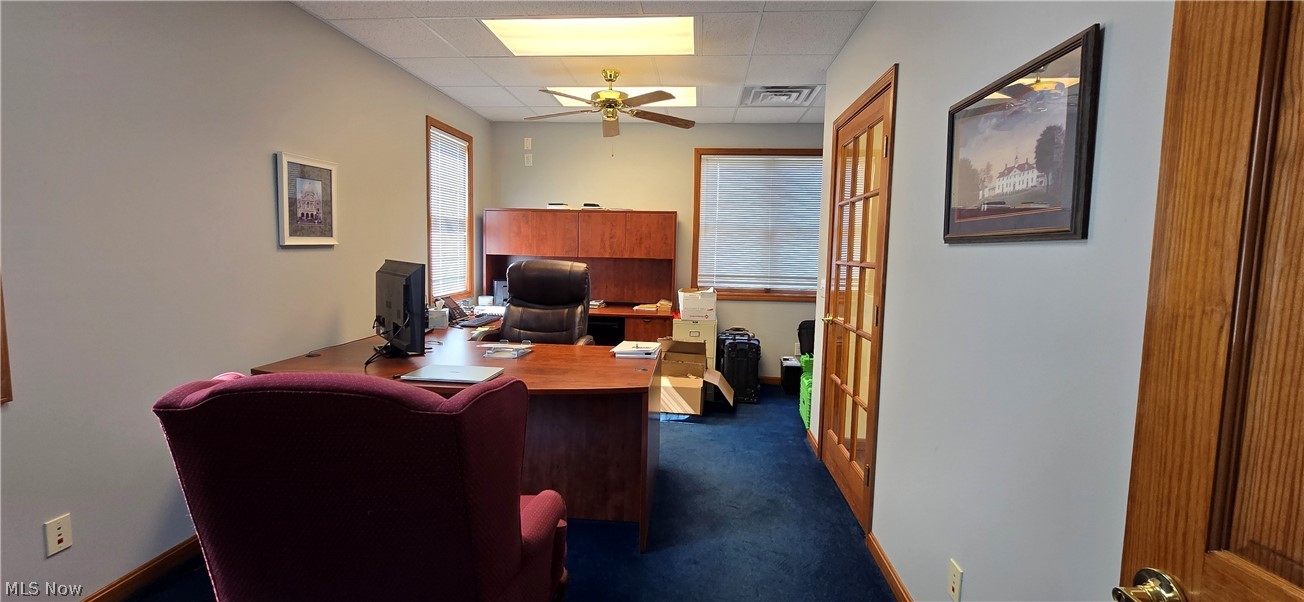 1004 Vivian Drive Grafton OH 44044