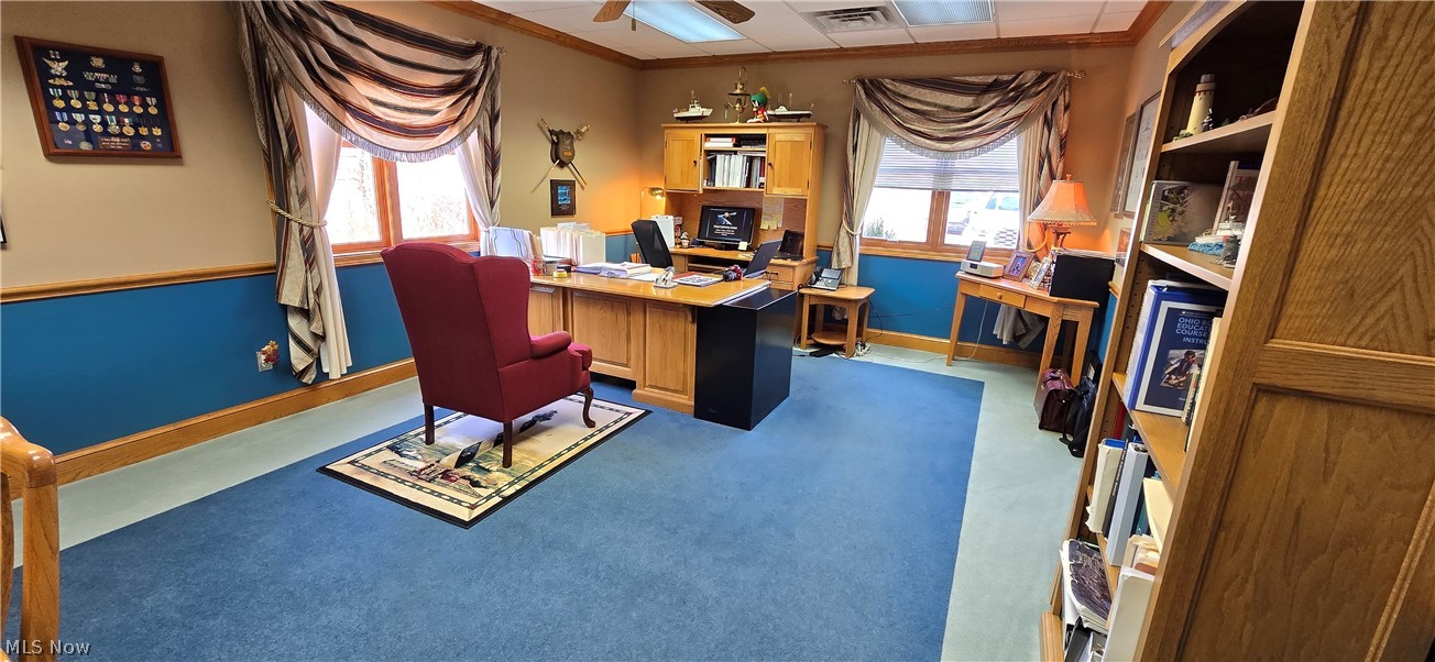 1004 Vivian Drive Grafton OH 44044