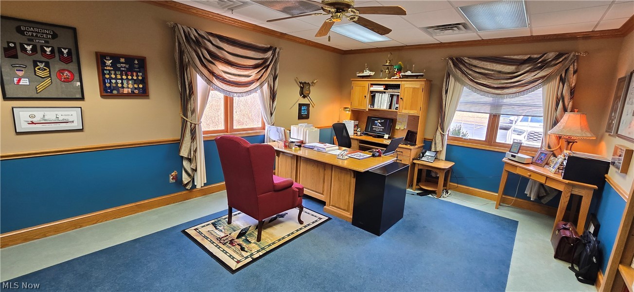 1004 Vivian Drive Grafton OH 44044