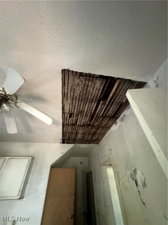 3799 E 54th Street Cleveland OH 44105