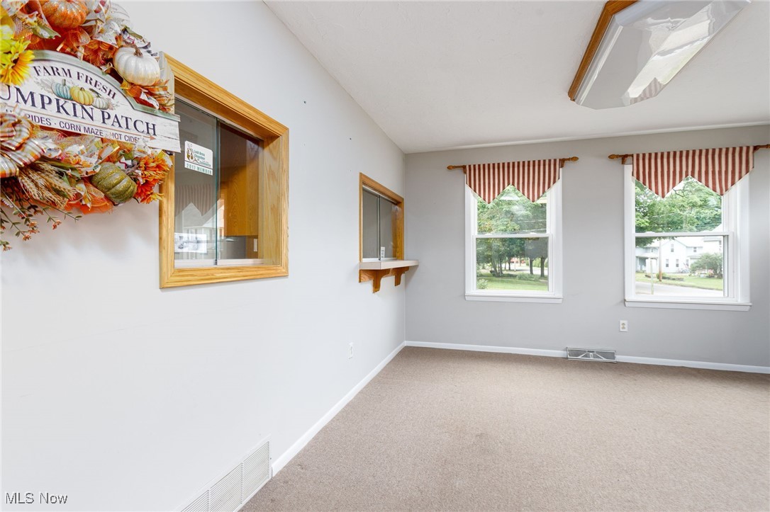 113 Harris Street Lodi OH 44254