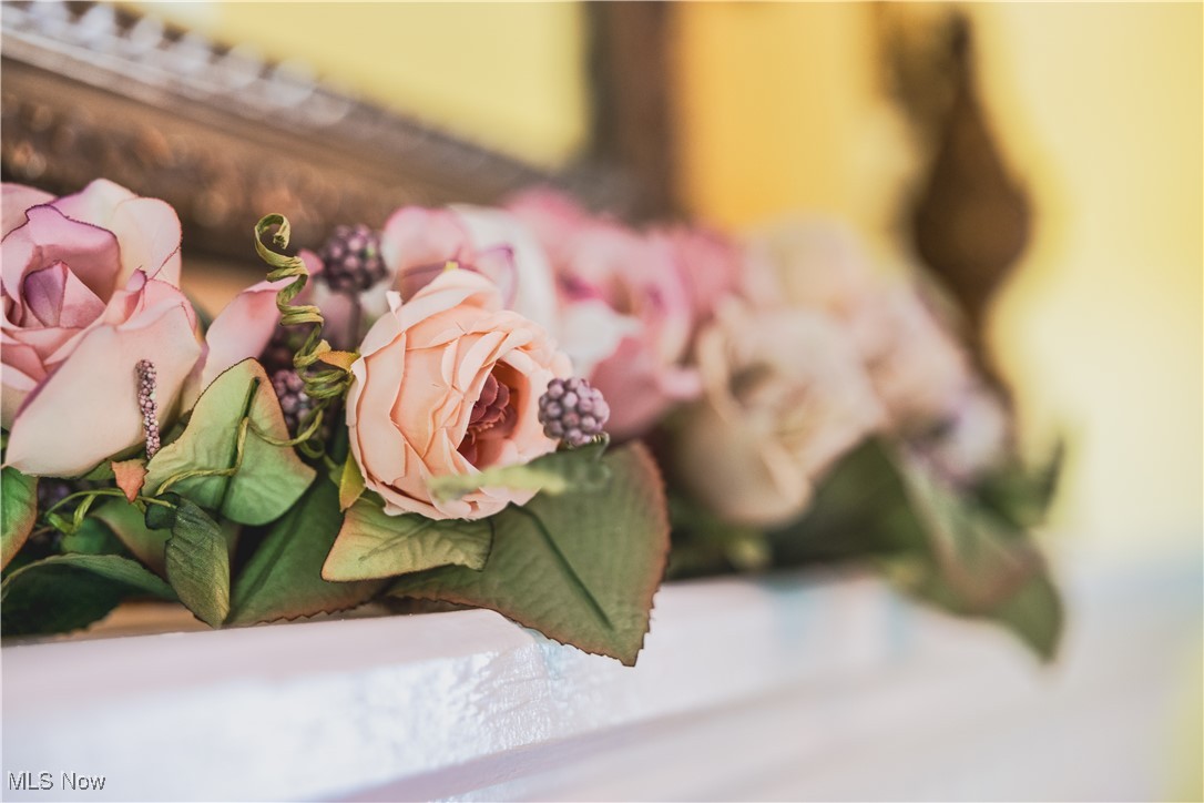 572 County Road 22a Bloomingdale OH 43910