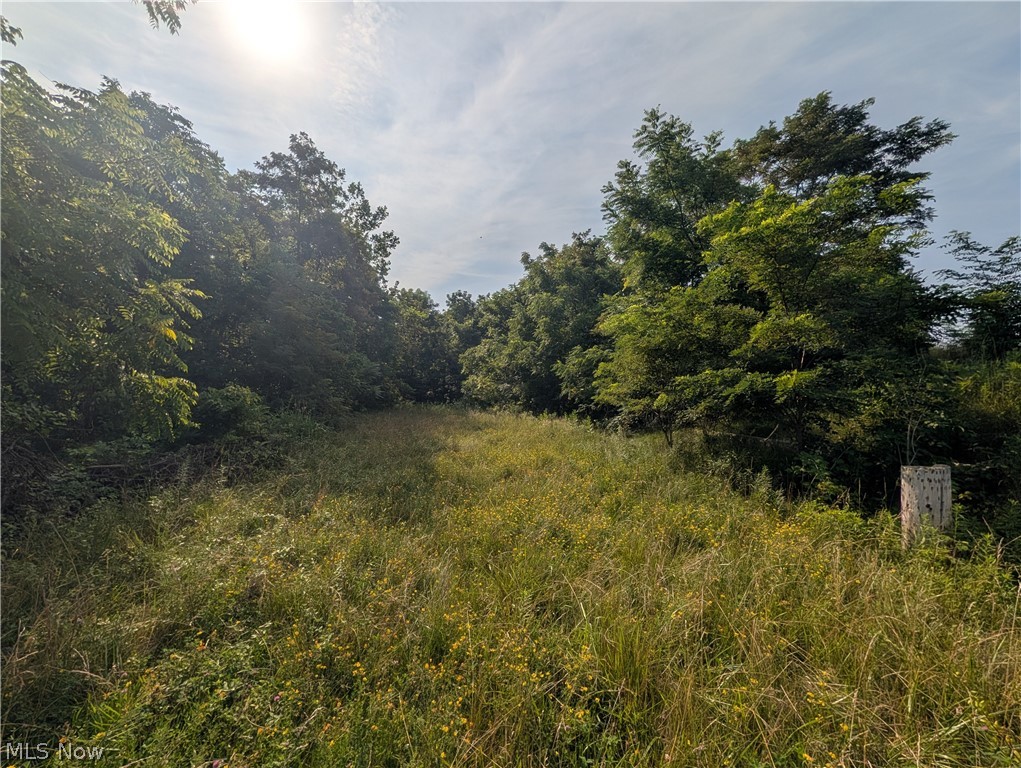 State Route 556 Clarington OH 43915