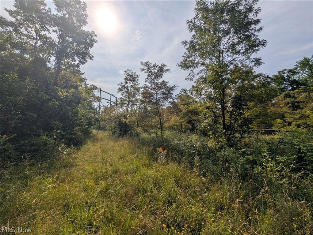 State Route 556 Clarington OH 43915