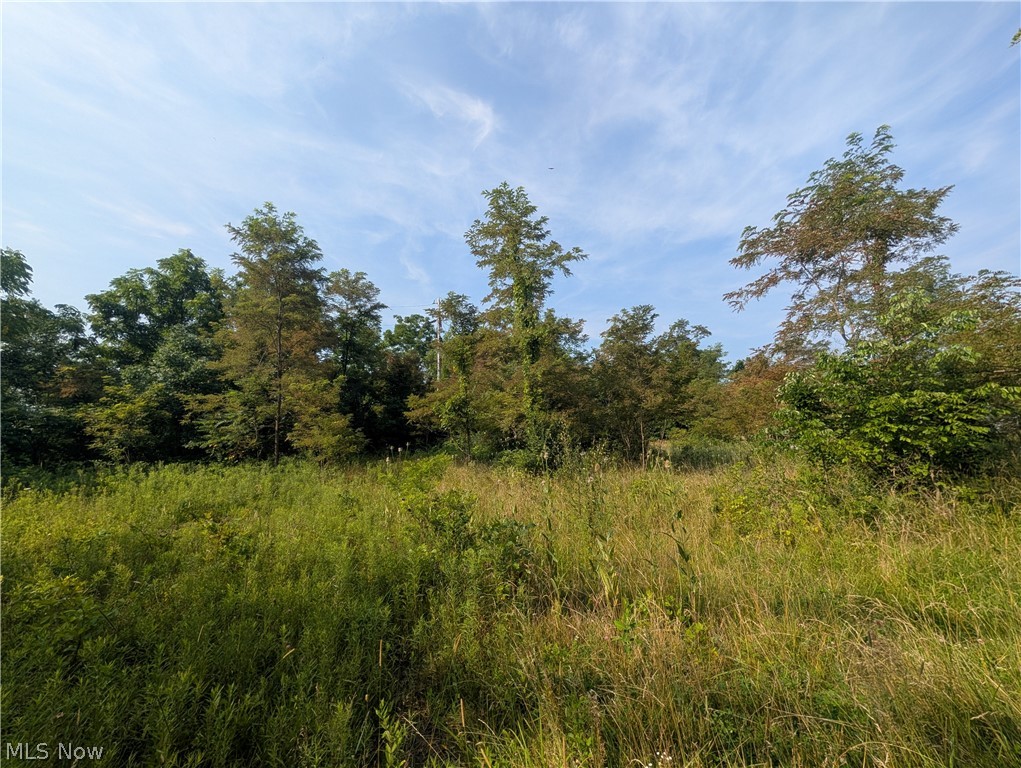 State Route 556 Clarington OH 43915