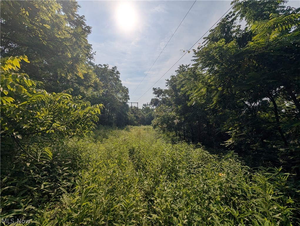 State Route 556 Clarington OH 43915