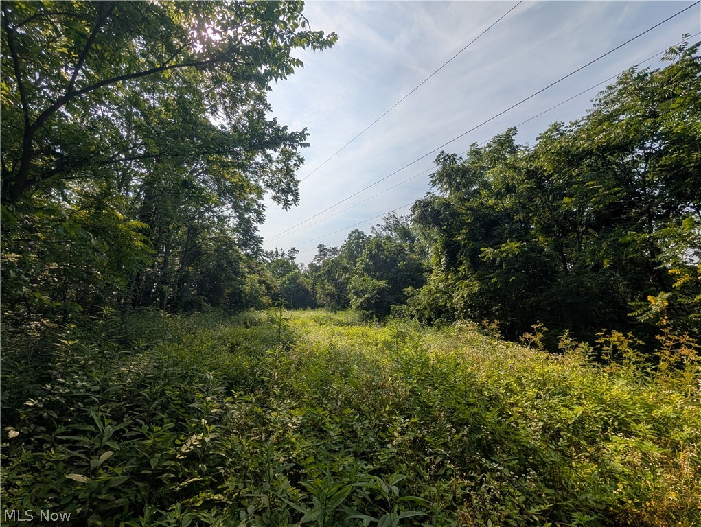 State Route 556 Clarington OH 43915