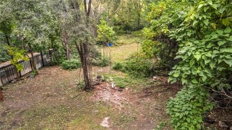2908 Barber Avenue Cleveland OH 44113
