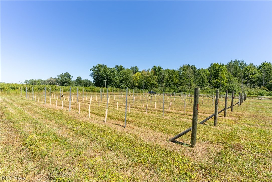 4759 Ninevah Road Ashtabula OH 44004
