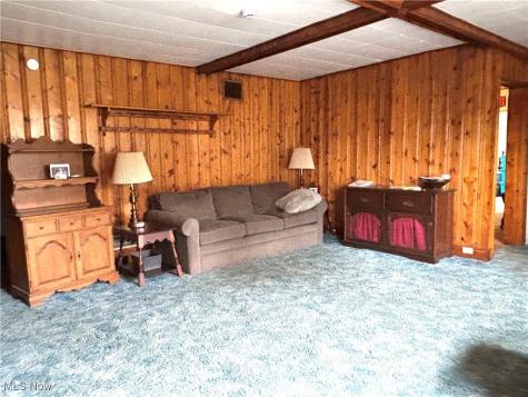 514 E Park Avenue Columbiana OH 44408