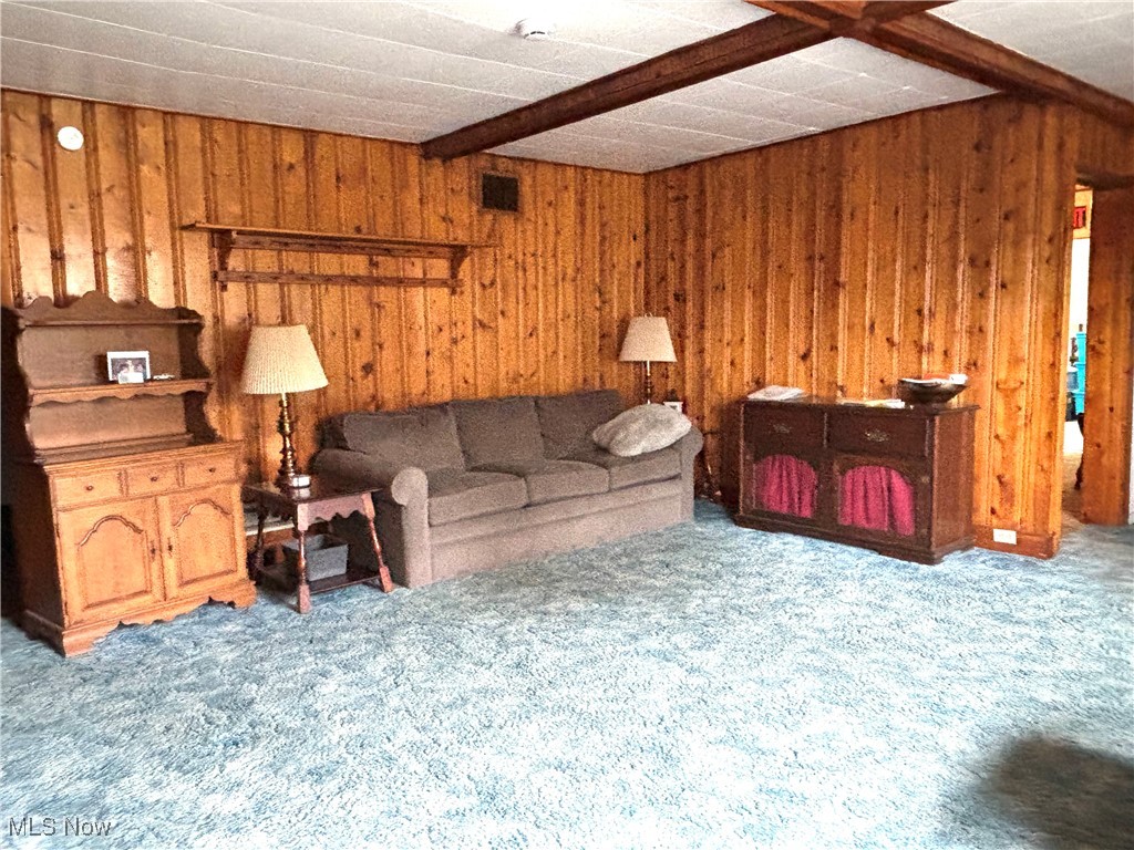 514 E Park Avenue Columbiana OH 44408