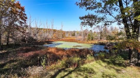 15050 Gingerich Road Middlefield OH 44062